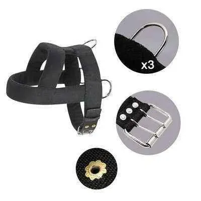 Big & Strong Dog Training Harness & Leash Set