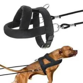 Big & Strong Dog Training Harness & Leash Set