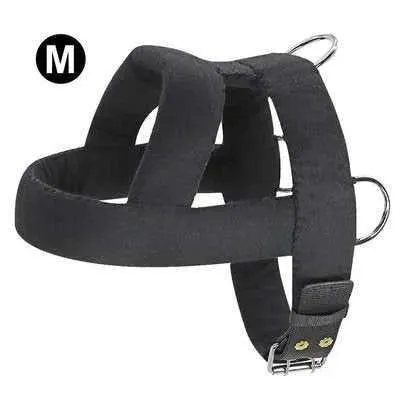 Big & Strong Dog Training Harness & Leash Set