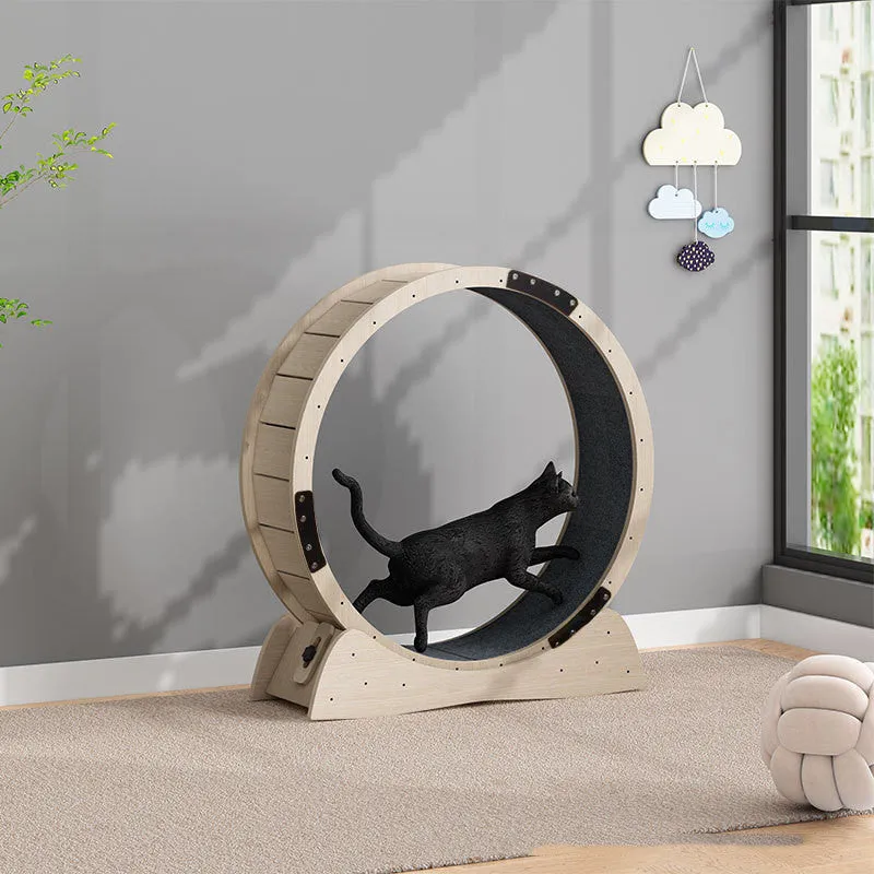 Cat Exercise Treadmill