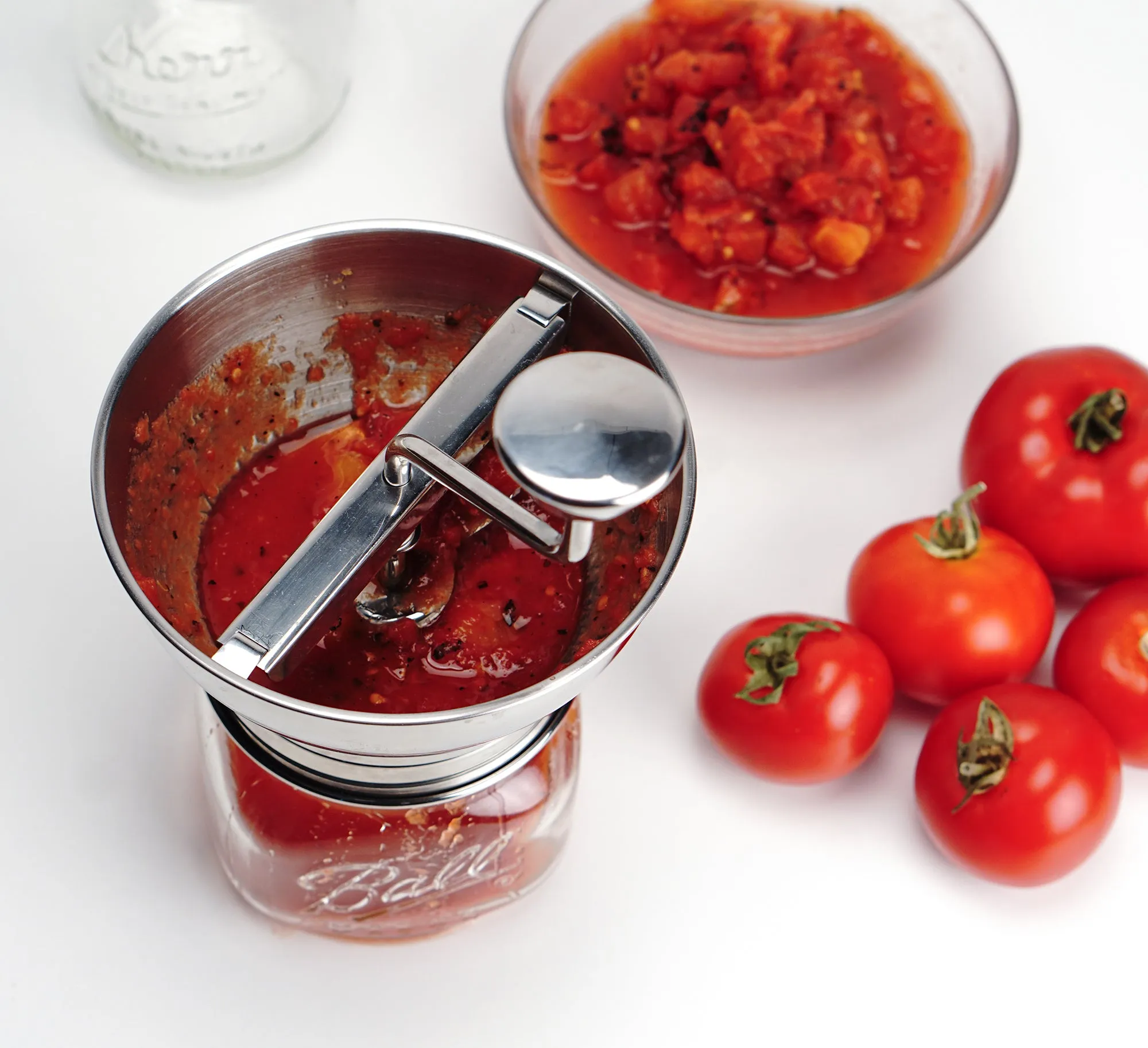 Endurance Mini Food Mill