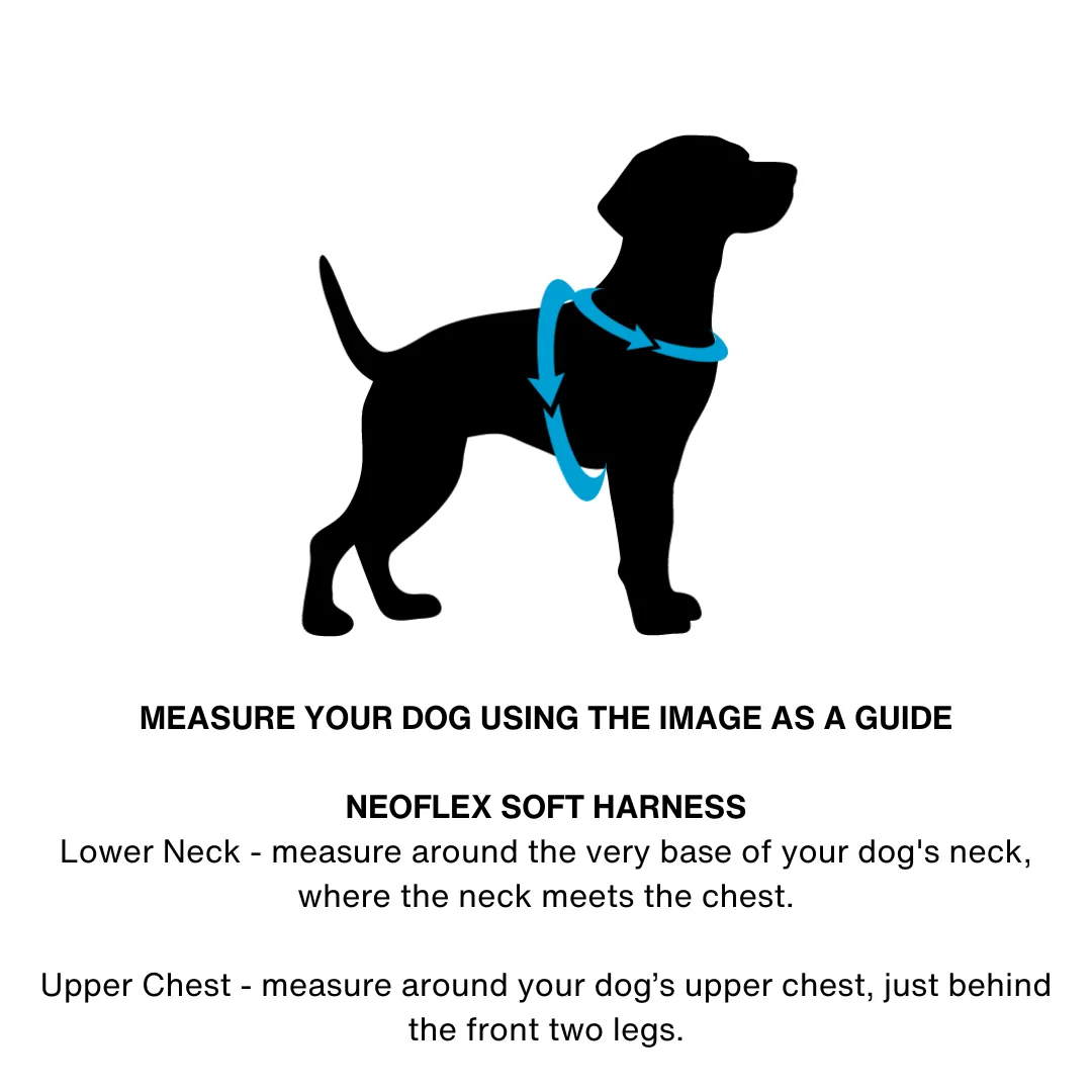 Neoflex Soft Harness - (Neon High Vis) Lady