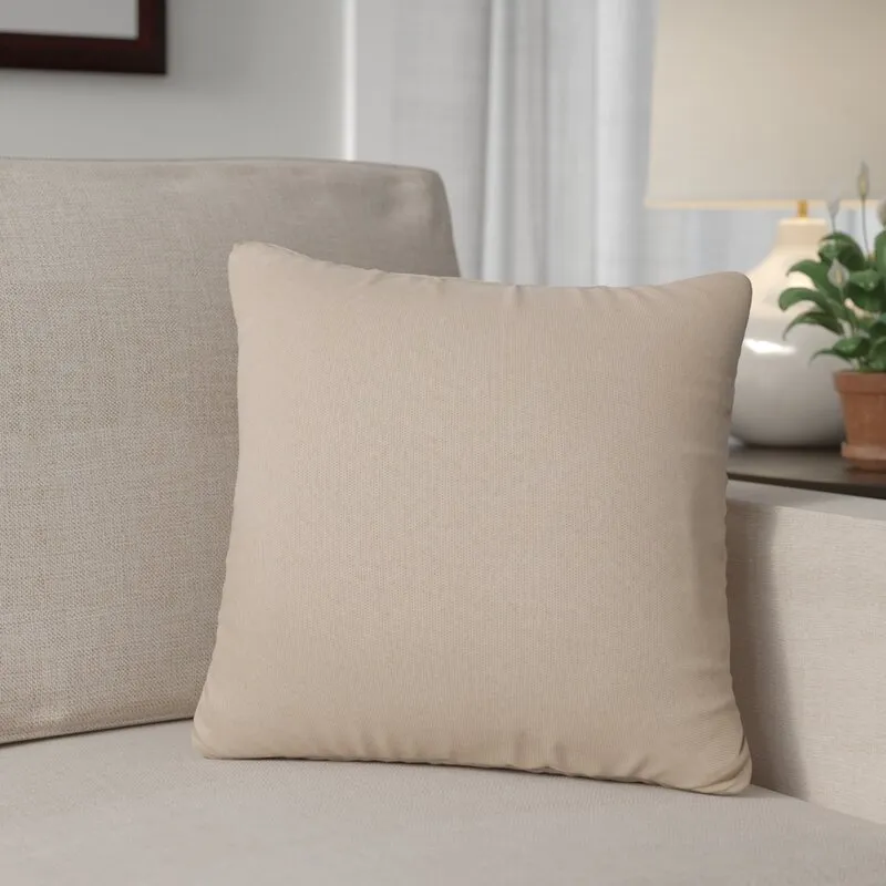 Oden Outdoor Square Throw Pillow Cover & Insert (Set of 2)