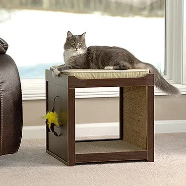 The Cat Interactive Play Cube
