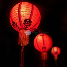 Traditional Chinese New Year Paper Lantern String Light COMBO Kit (31 FT, EXPANDABLE, Black Cord)