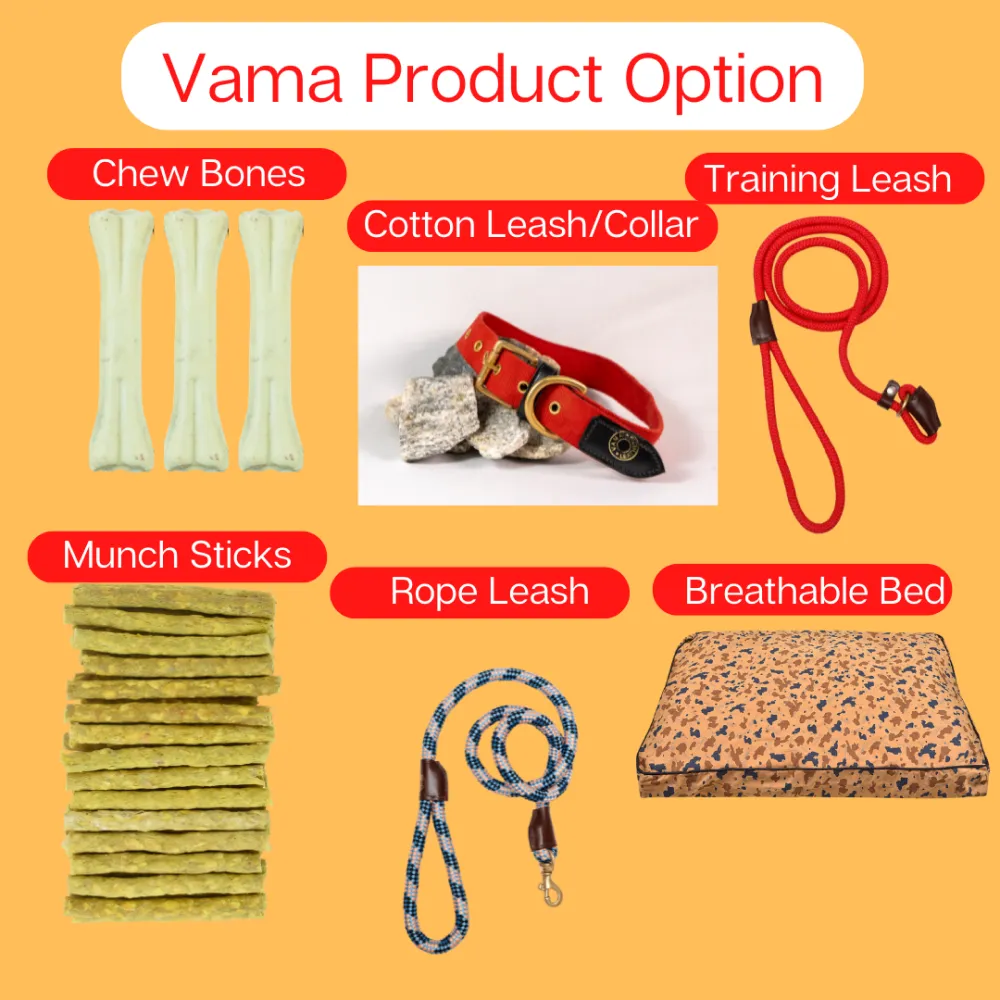 Vama Leathers Soft Durable Nylon Collar and Reflective Soft Handle All Leather Leash for Dogs Combo (Black)
