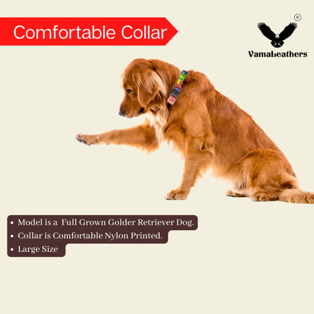 Vama Leathers Soft Durable Nylon Collar and Reflective Soft Handle All Leather Leash for Dogs Combo (Black)
