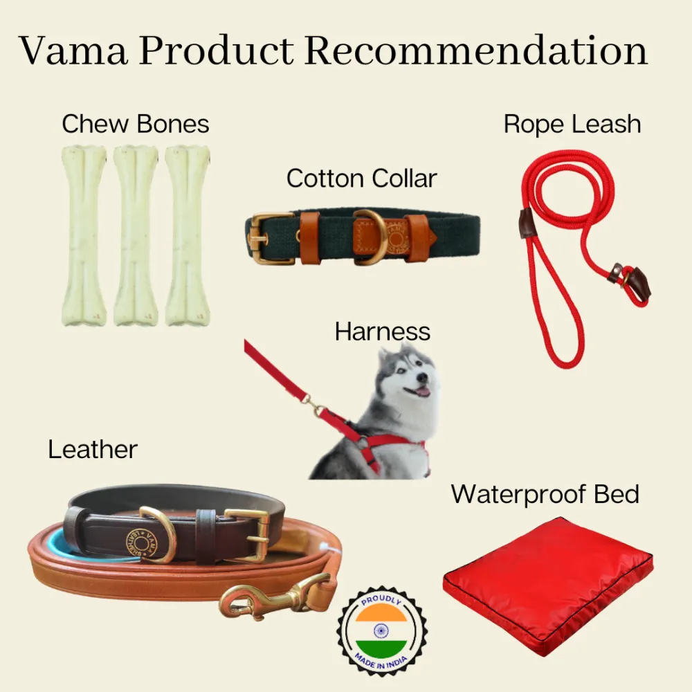 Vama Leathers Soft Durable Nylon Collar and Reflective Soft Handle All Leather Leash for Dogs Combo (Black)