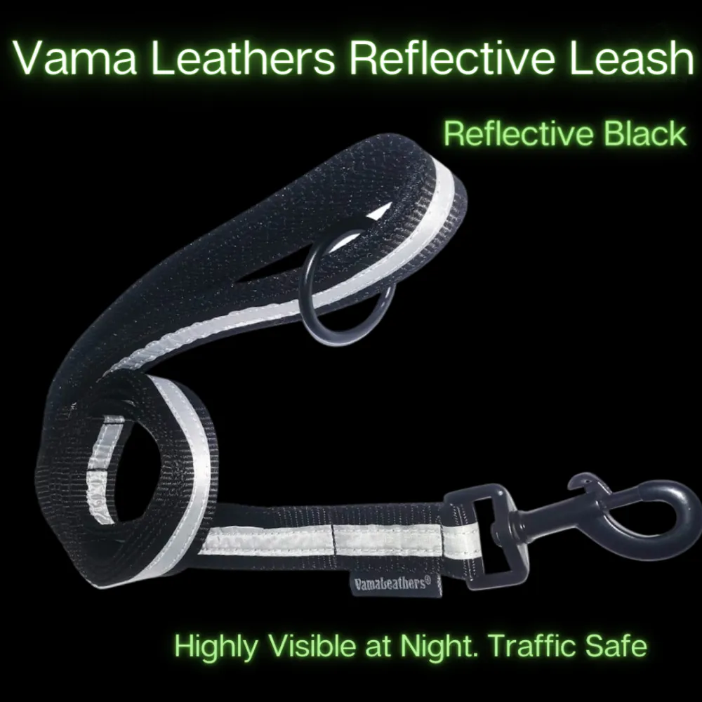 Vama Leathers Soft Durable Nylon Collar and Reflective Soft Handle All Leather Leash for Dogs Combo (Black)
