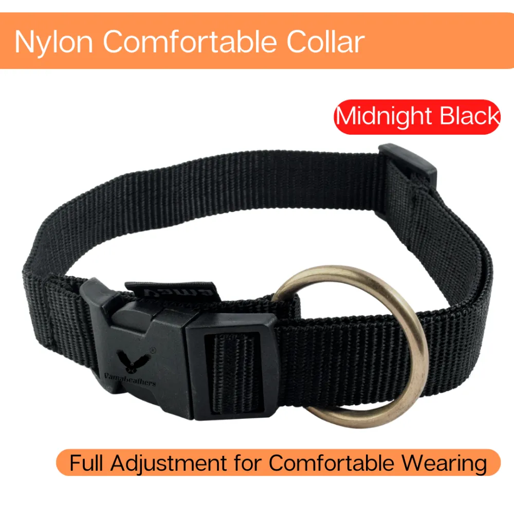 Vama Leathers Soft Durable Nylon Collar and Reflective Soft Handle All Leather Leash for Dogs Combo (Black)