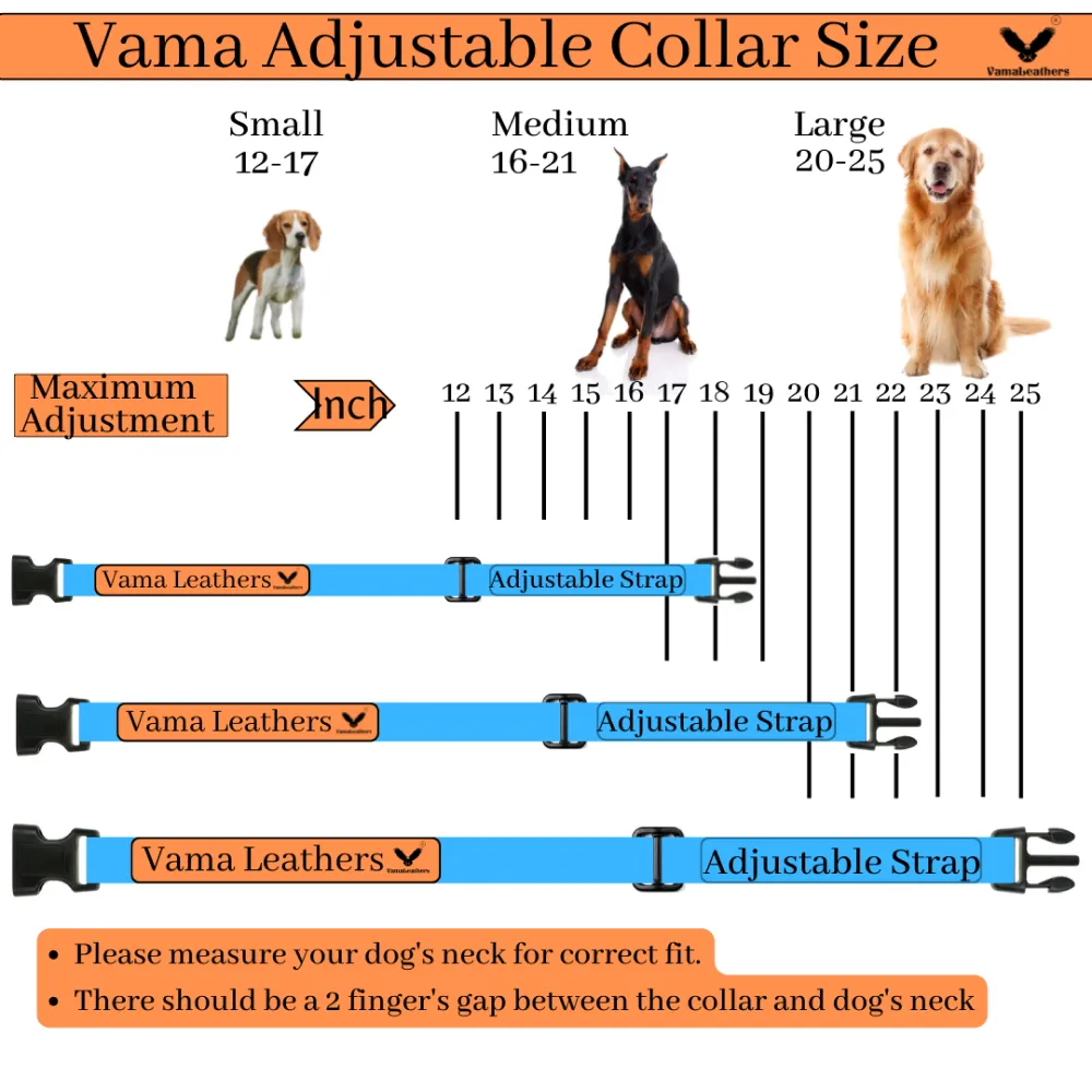 Vama Leathers Soft Durable Nylon Collar and Reflective Soft Handle All Leather Leash for Dogs Combo (Black)