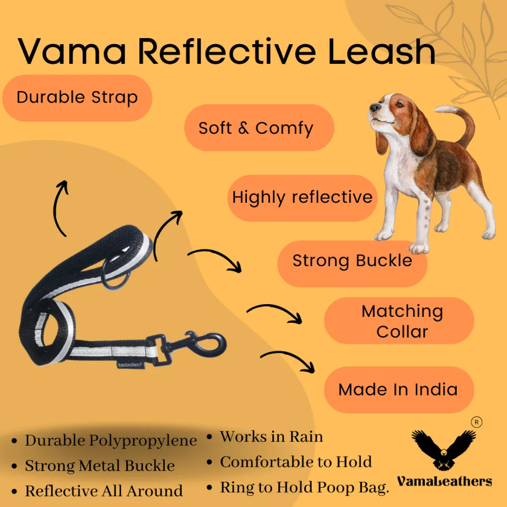 Vama Leathers Soft Durable Nylon Collar and Reflective Soft Handle All Leather Leash for Dogs Combo (Black)